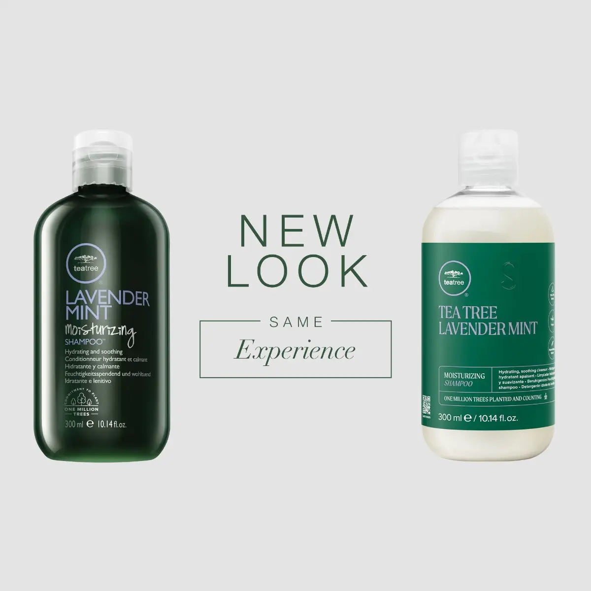TEA TREE - Lavender Mint Shampoo and Conditioner Duo 10oz