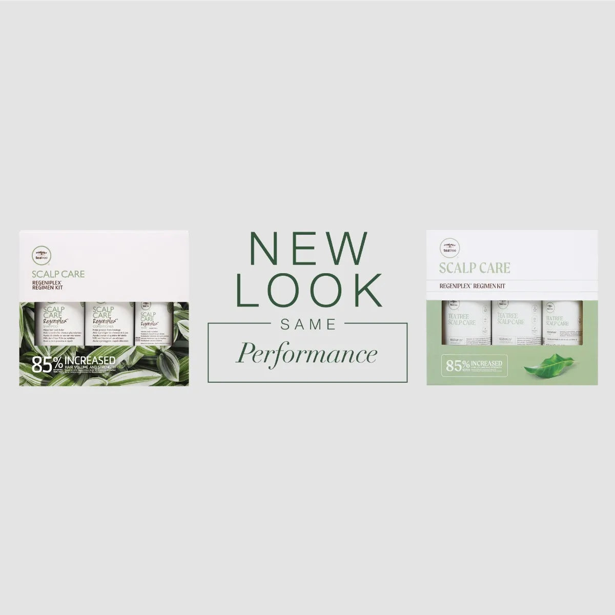 TEA TREE - Scalp Care Regeniplex Regimen Kit