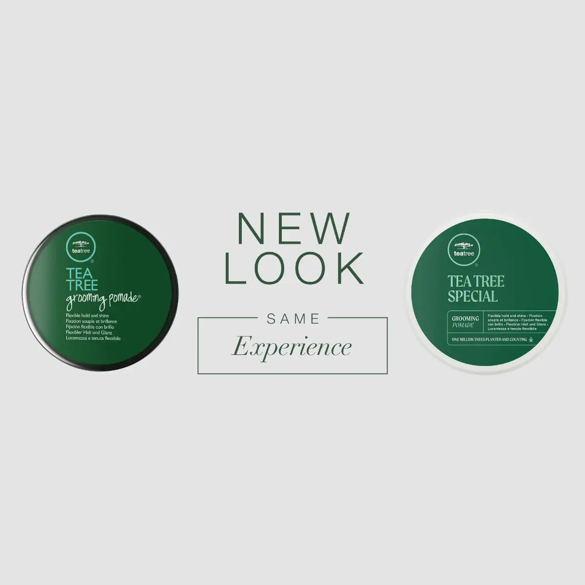 TEA TREE - Grooming Pomade